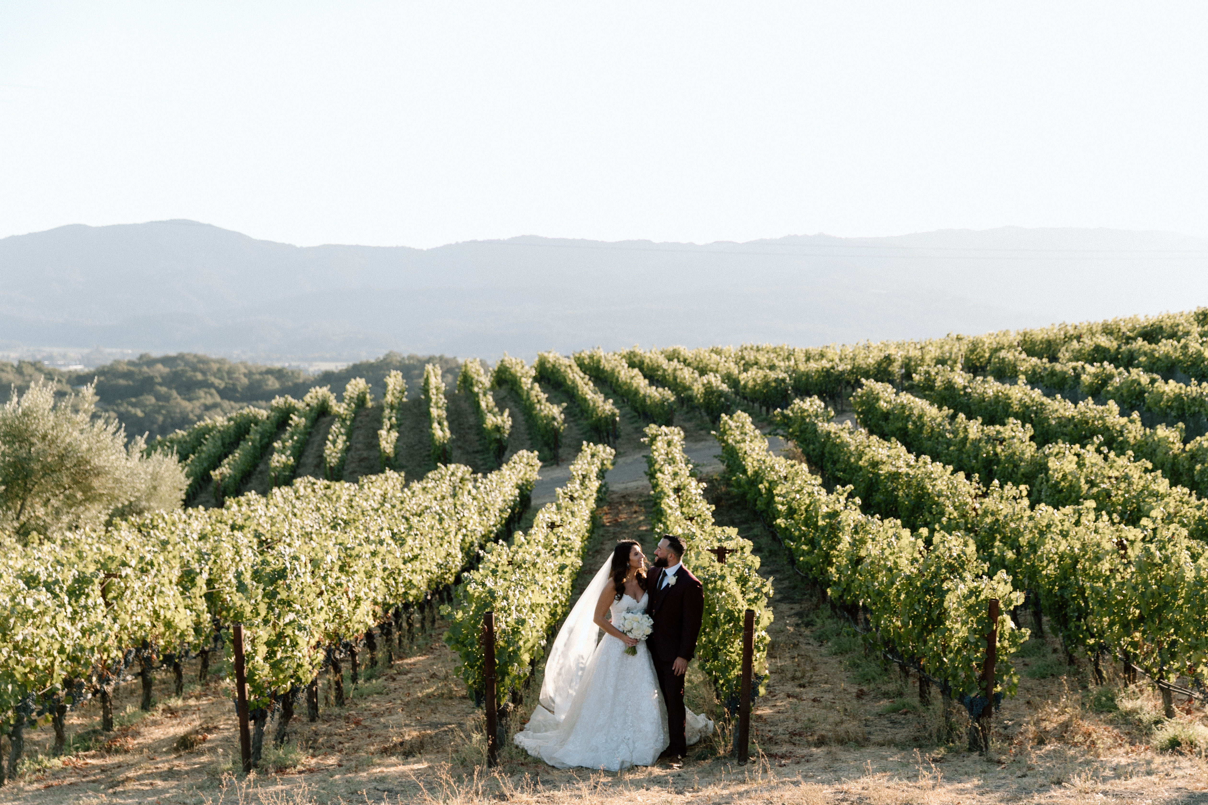 Couple embracing in a Napa Valley vineyard at golden hour on their elopement day